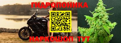 ПСИЛОЦИБИНОВЫЕ ГРИБЫ Славянск-на-Кубани