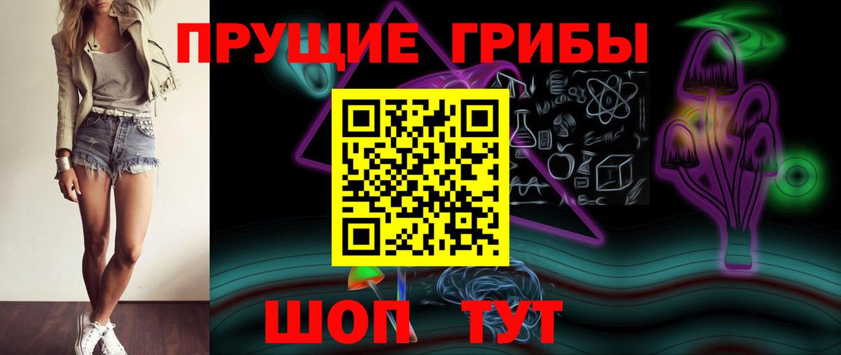 Псилоцибиновые грибы Cubensis Новозыбков
